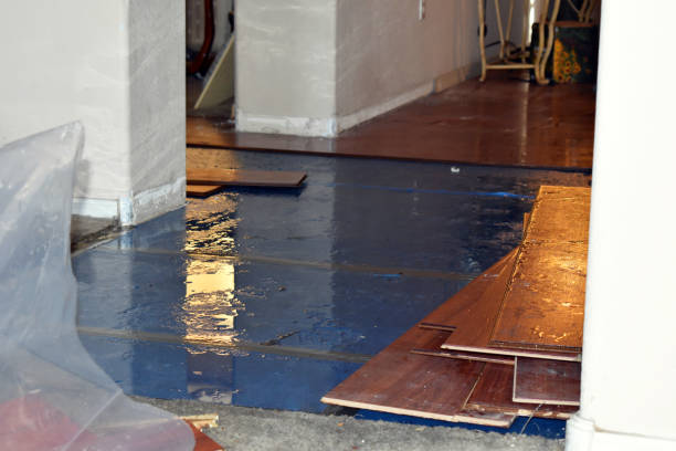 Professional Flood Cleanup technician working in Centerville, IN